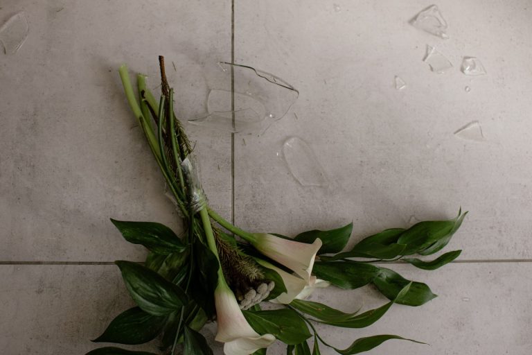 Tips on Choosing a Lawyer